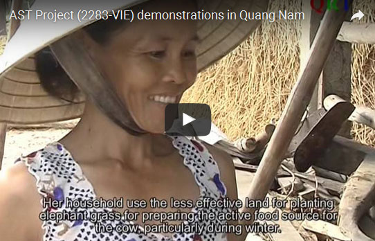 Dự án AST (2283-VIE) khuyến nông ở Quảng Nam