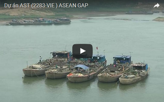 Dự án AST (2283-VIE ) ASEAN GAP